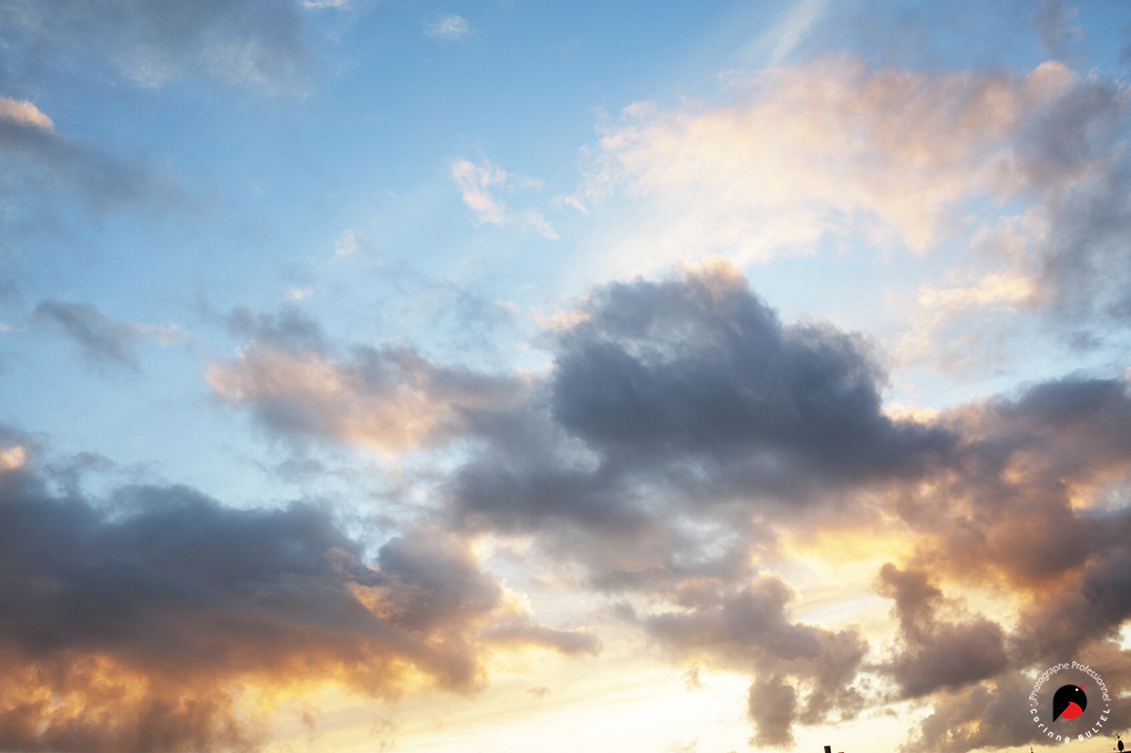 Ciel mon mardi!